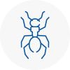 Ant Removals In Ferryhill
