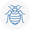 Bed Bug Extermination In Ferryhill
