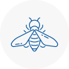 Bee Nest Removal Ferryhill
