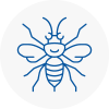 Ferryhill Hornet Nest Removals