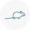 Mice Exterminators In Ferryhill
