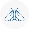 Moth Control Specialists In Ferryhill