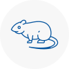 Rat Control Ferryhill