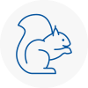 Ferryhill Rodent Removals